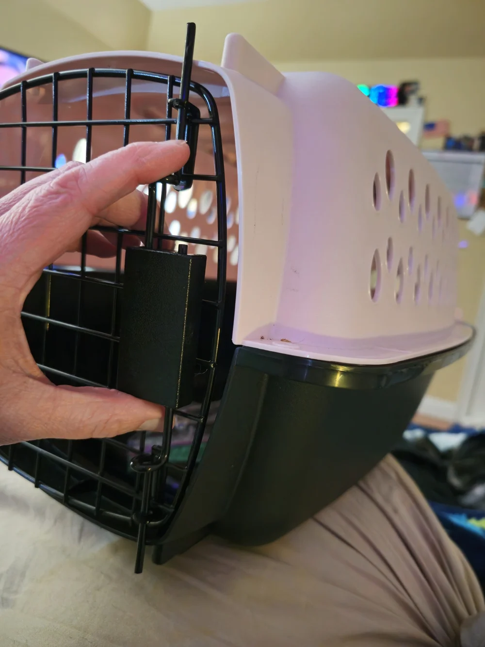 Petmate Fashion Vari Travel Dog Kennel Durable Plastic Pet Carrier, 19
